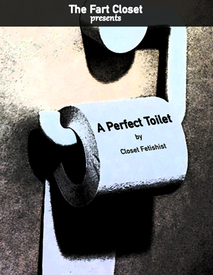 A Perfect Toilet cover